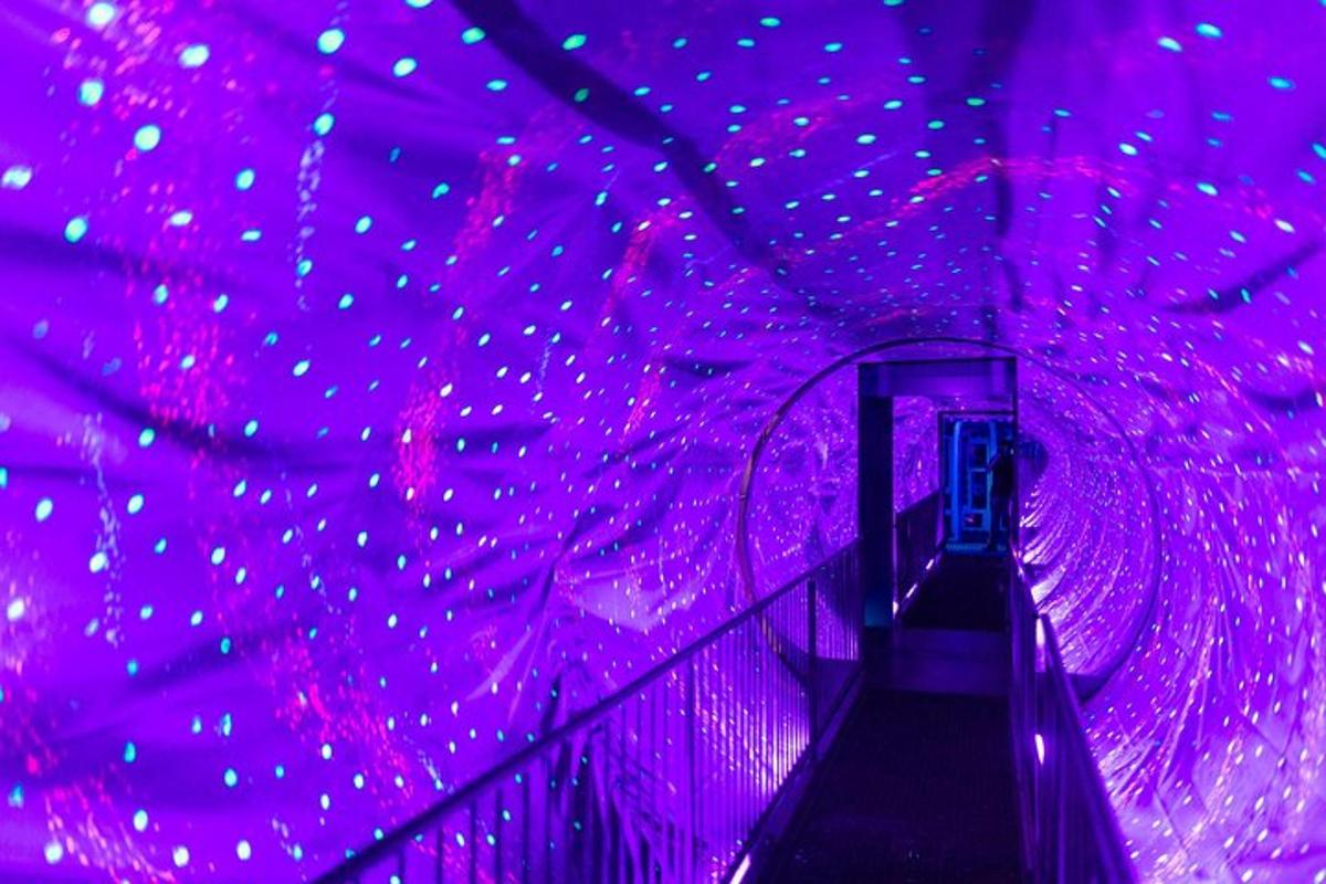 Attraction picture 3