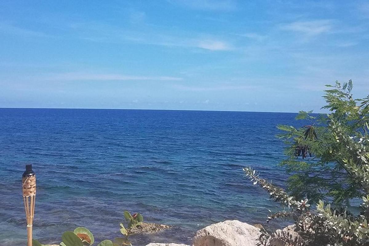 en person, der står på stranden og kigger på havet