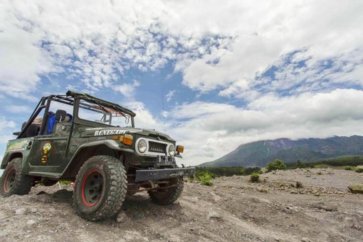 zielony jeep zaparkowany na polu ziemnym