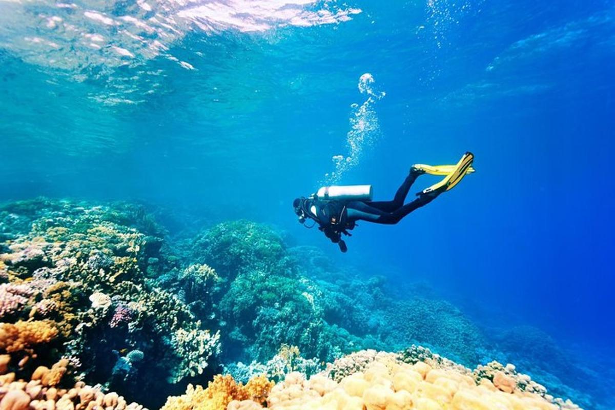 Una persona está nadando sobre un arrecife de coral.