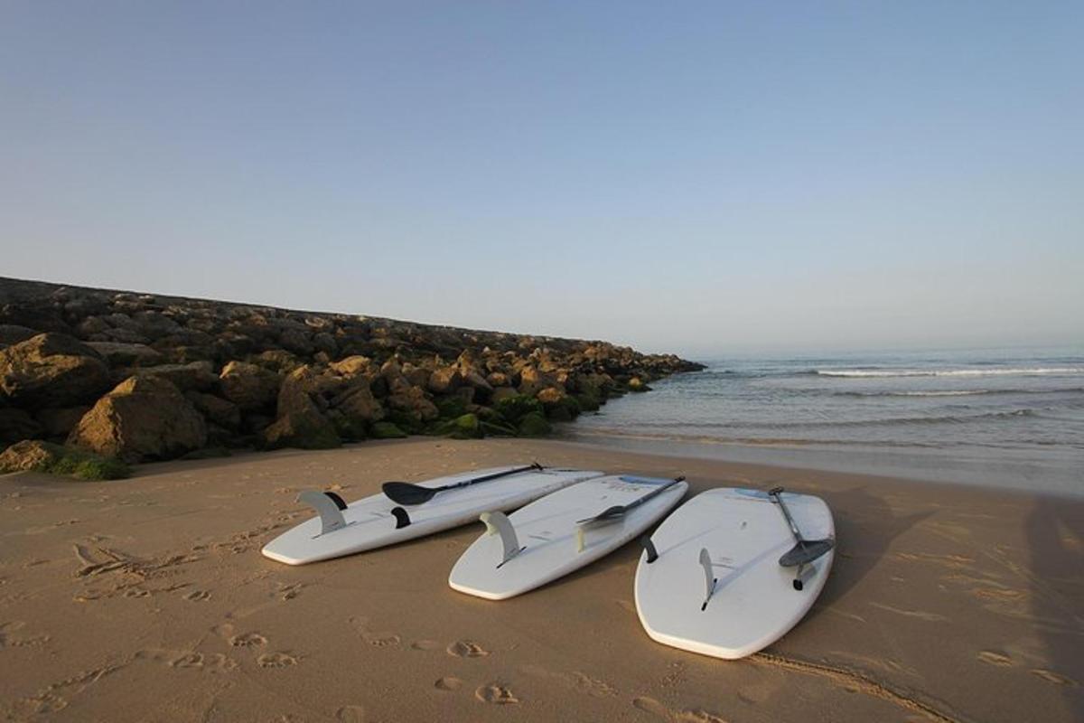 a group of surfboards sitting on the beach
