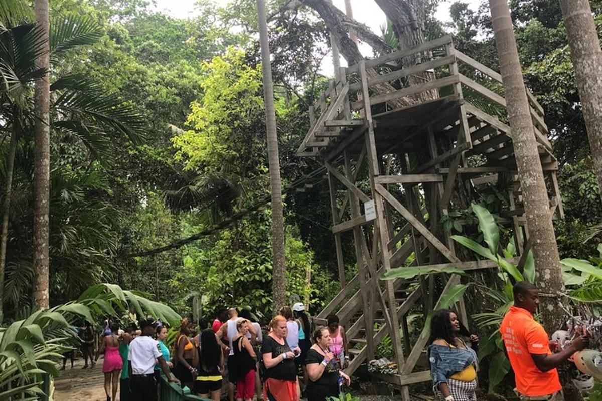 una multitud de gent dempeus al voltant d'una torre de fusta al bosc