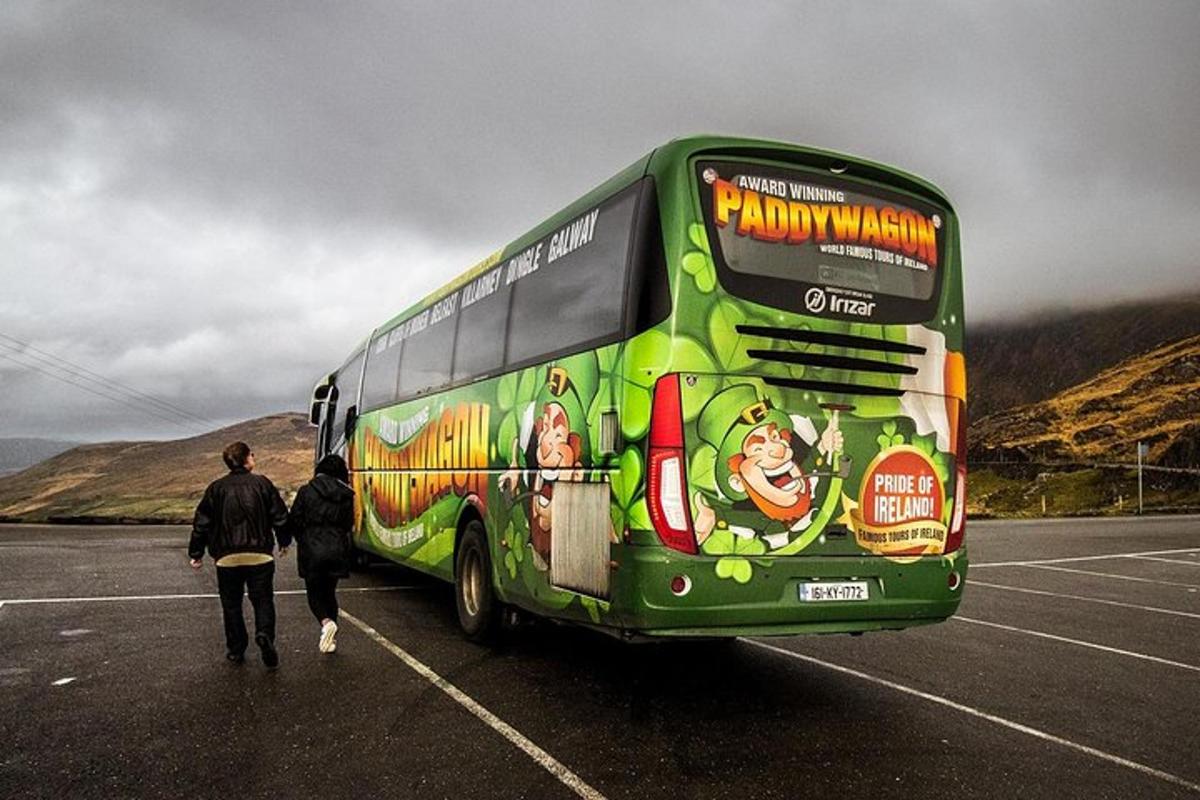 a green bus is parked in a parking lot