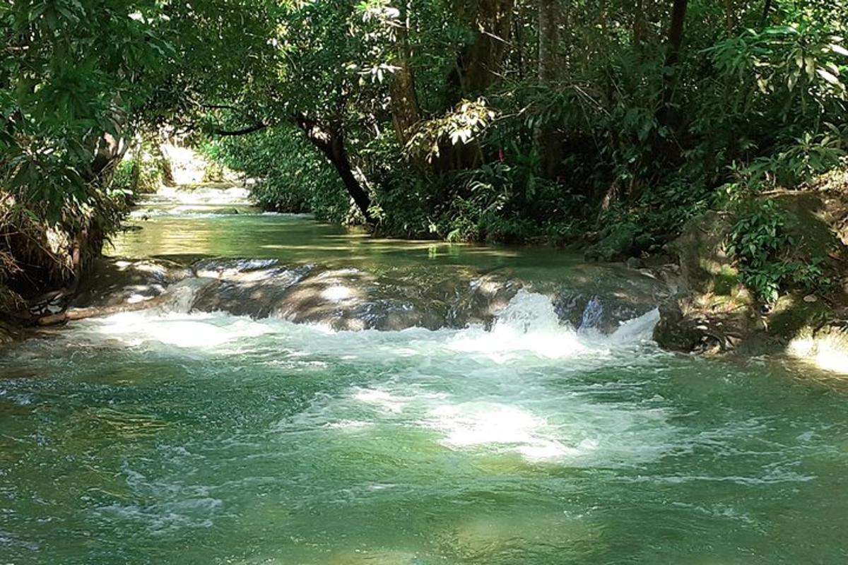 un fiume con acqua verde e alberi ai lati