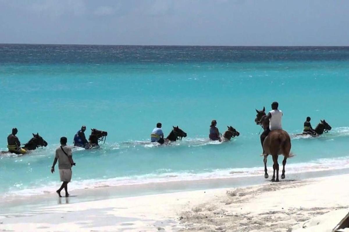 um grupo de pessoas andando a cavalo na praia