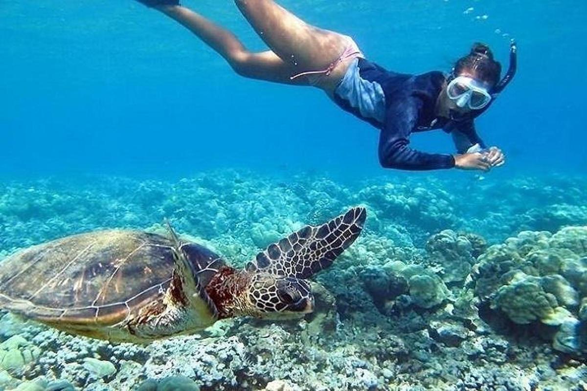 a man swimming next to a turtle in the ocean
