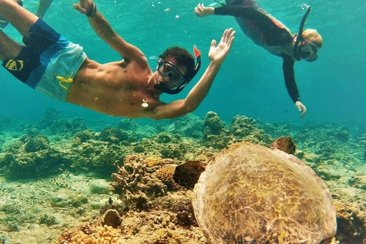 two people swimming in the ocean near a reef