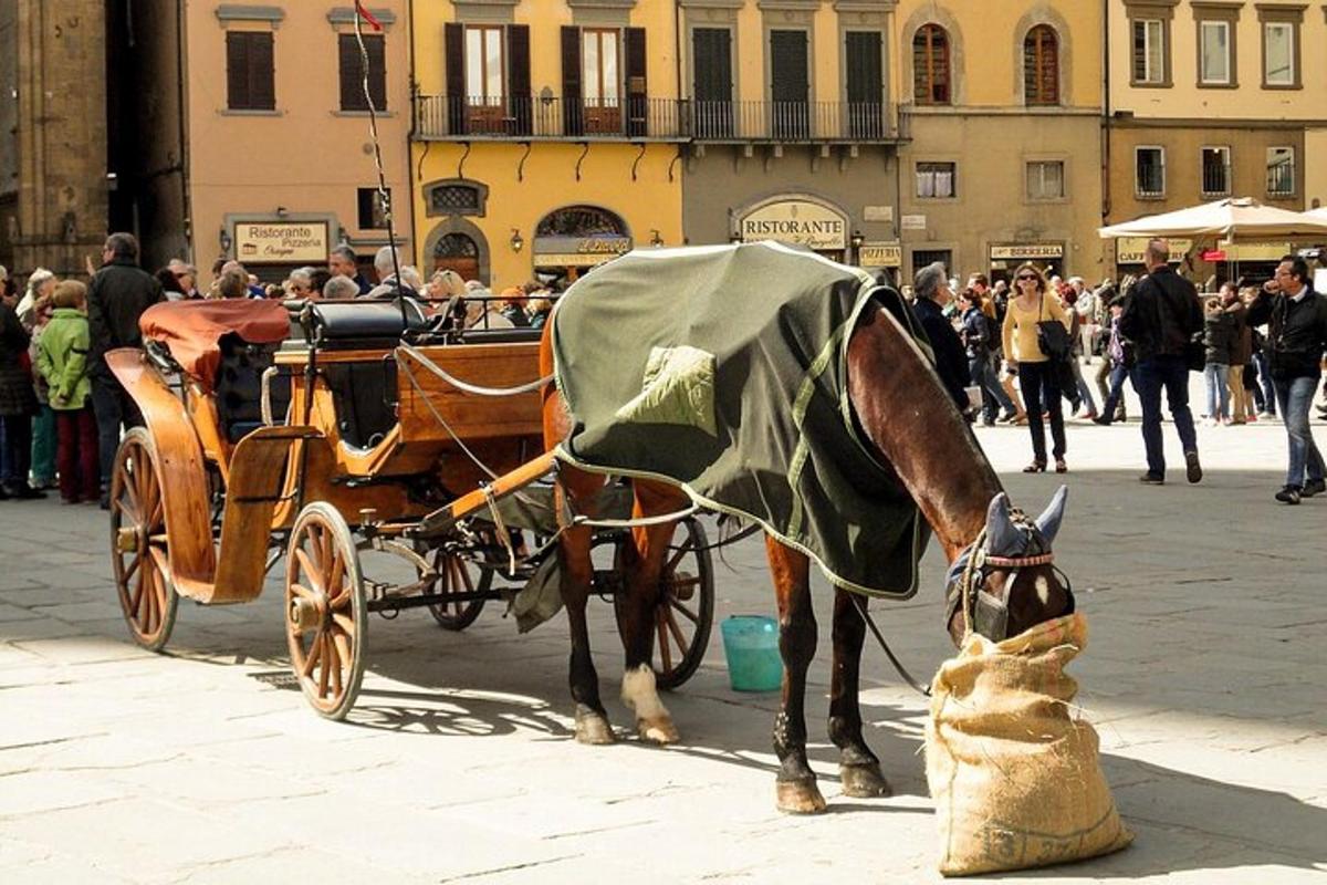 a horse pulling a carriage next to a dog