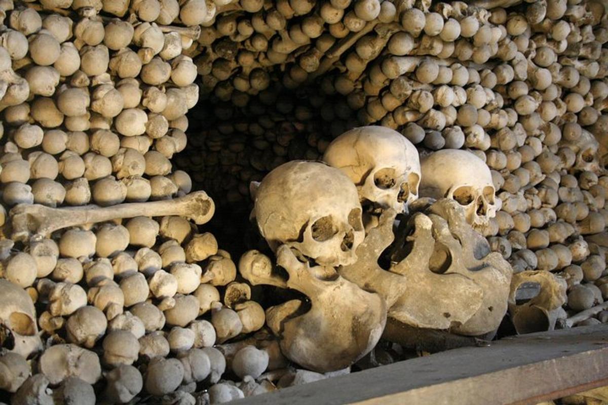 un mucchio di teschi sono ammucchiati in un mucchio