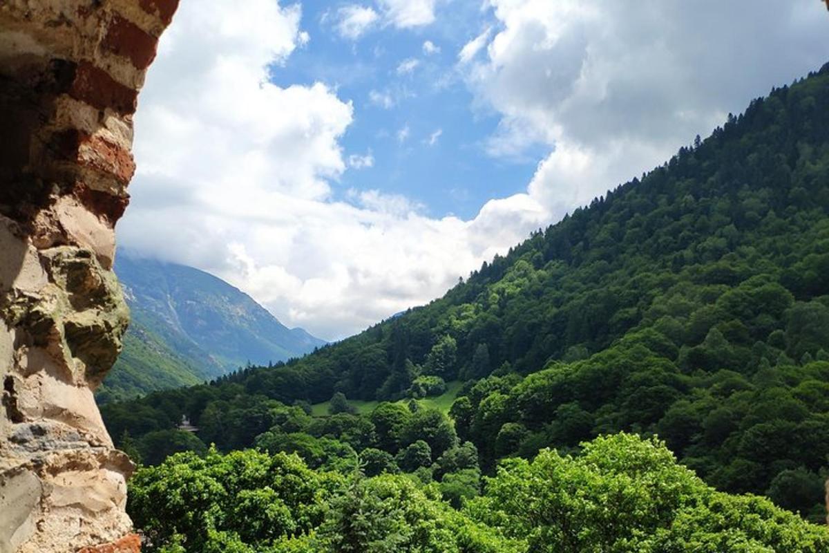 uma vista de um vale com árvores e montanhas