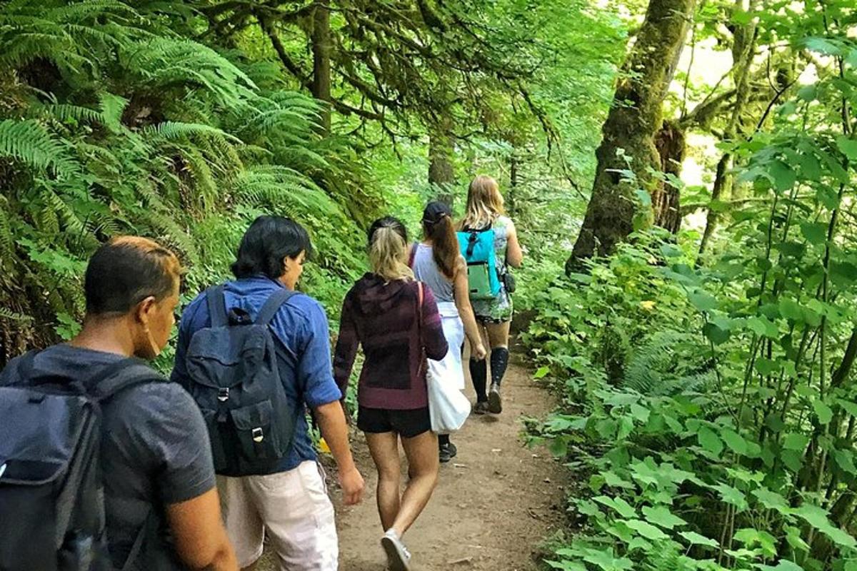 a group of people walking on a trail in the forest