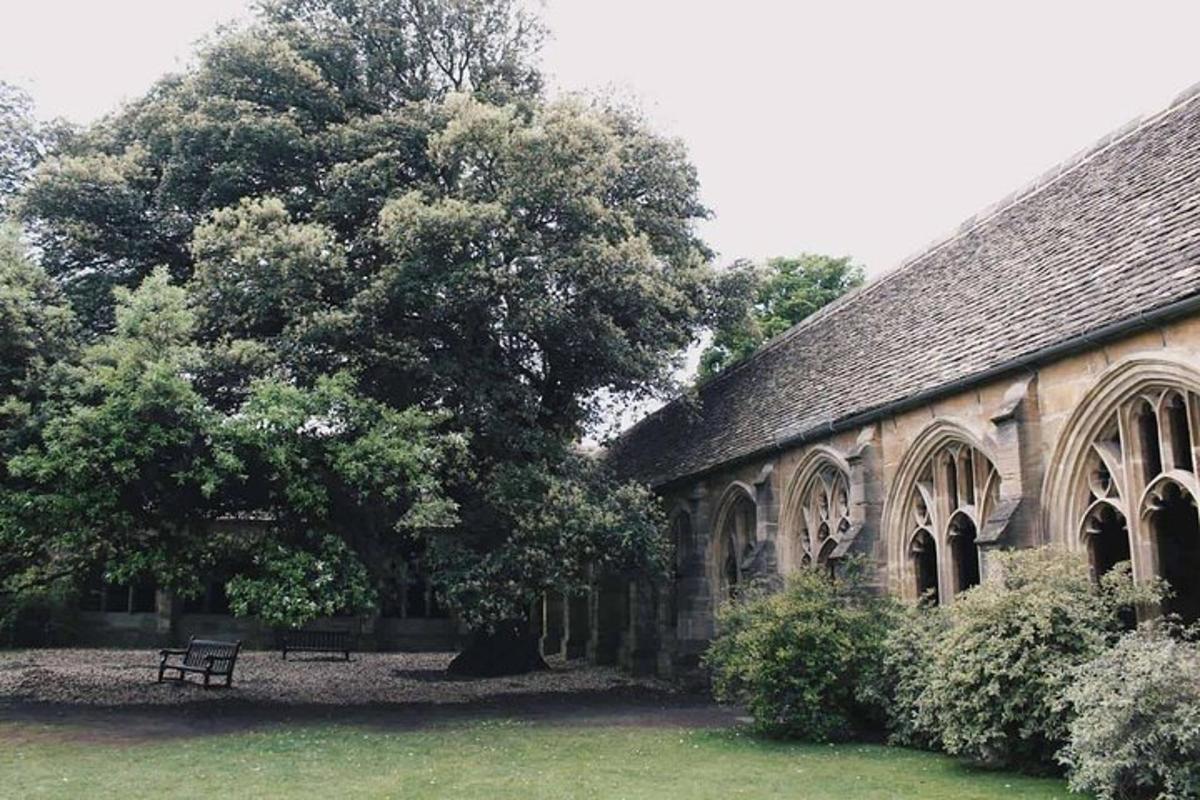 a building with a tree and a bench in front of it