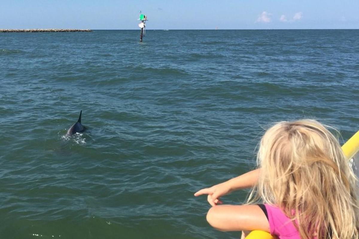 una bambina che guarda un delfino nell'acqua