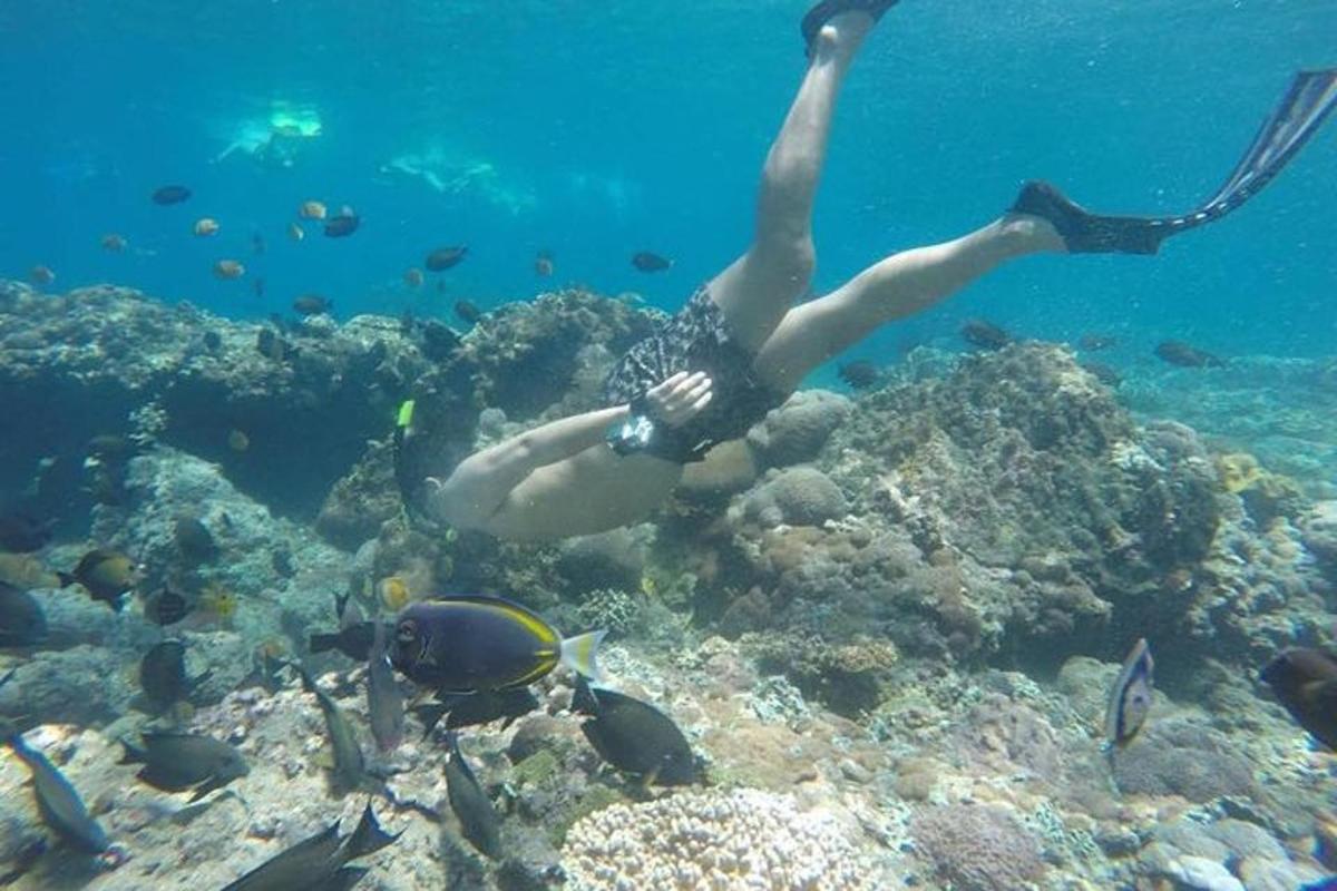 a woman swimming over a coral reef with fish