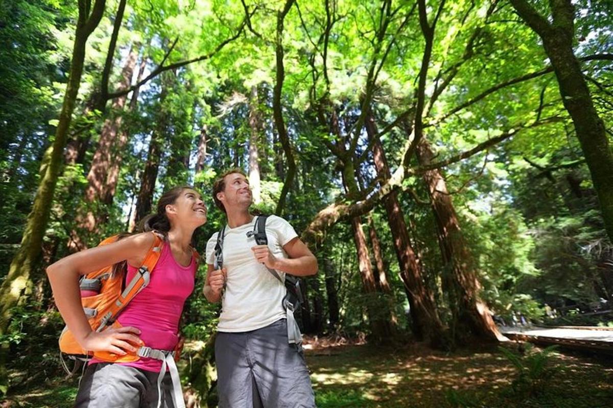 um homem e uma mulher em pé em uma floresta