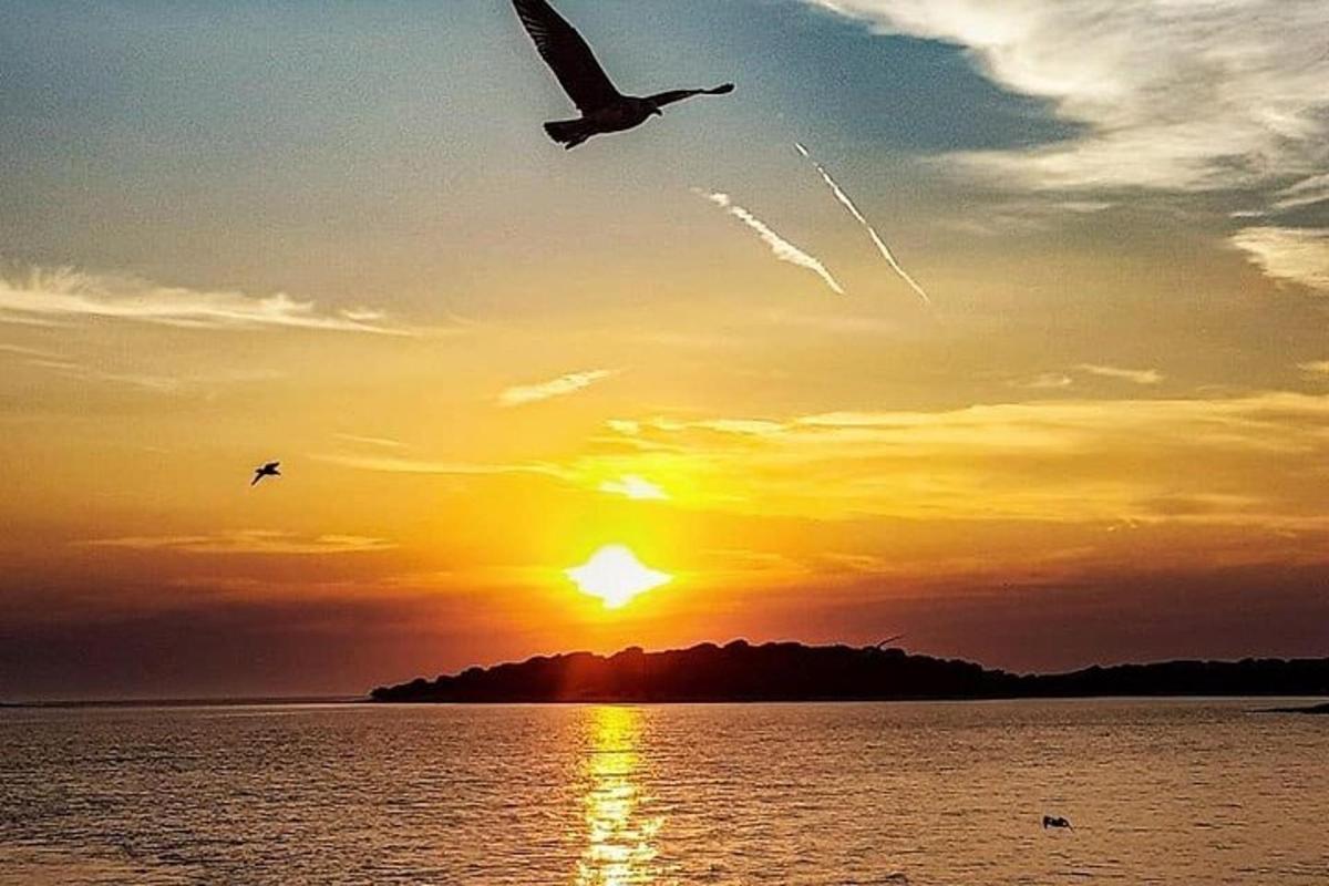 two seagulls flying over the water at sunset