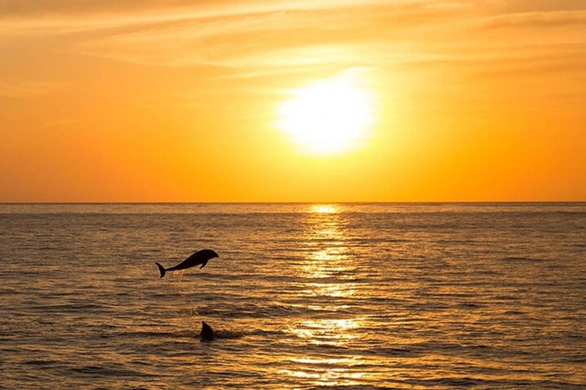 a bird flying over the ocean at sunset