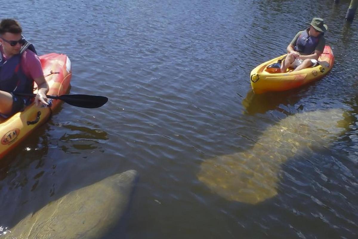 two people in kayaks and a large fish in the water