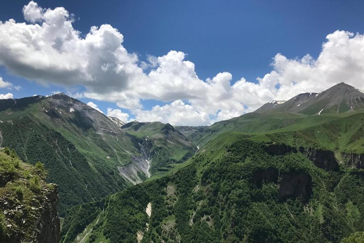 木々のある山間の谷の航空写真