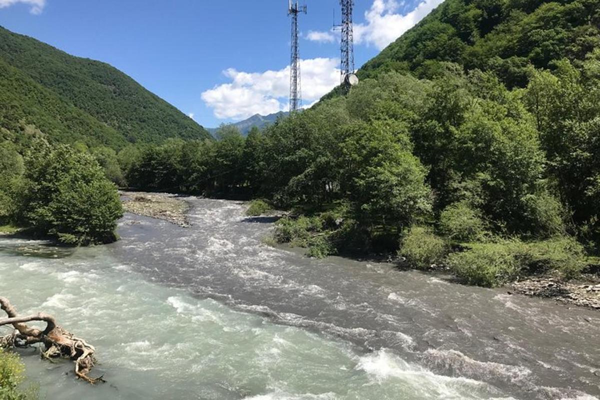 reka z drevesi na pobočju gore