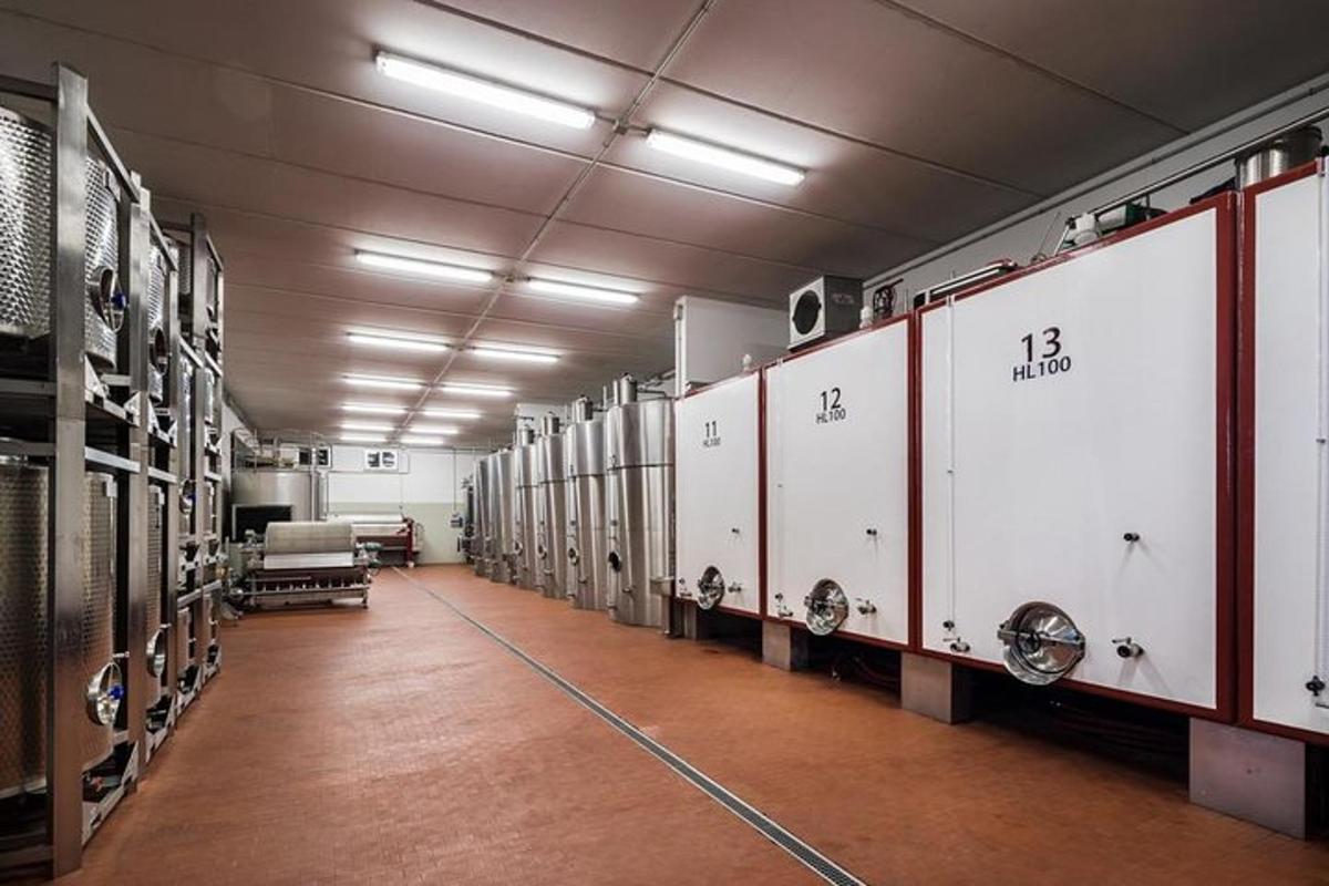 a large room with a row of white machines
