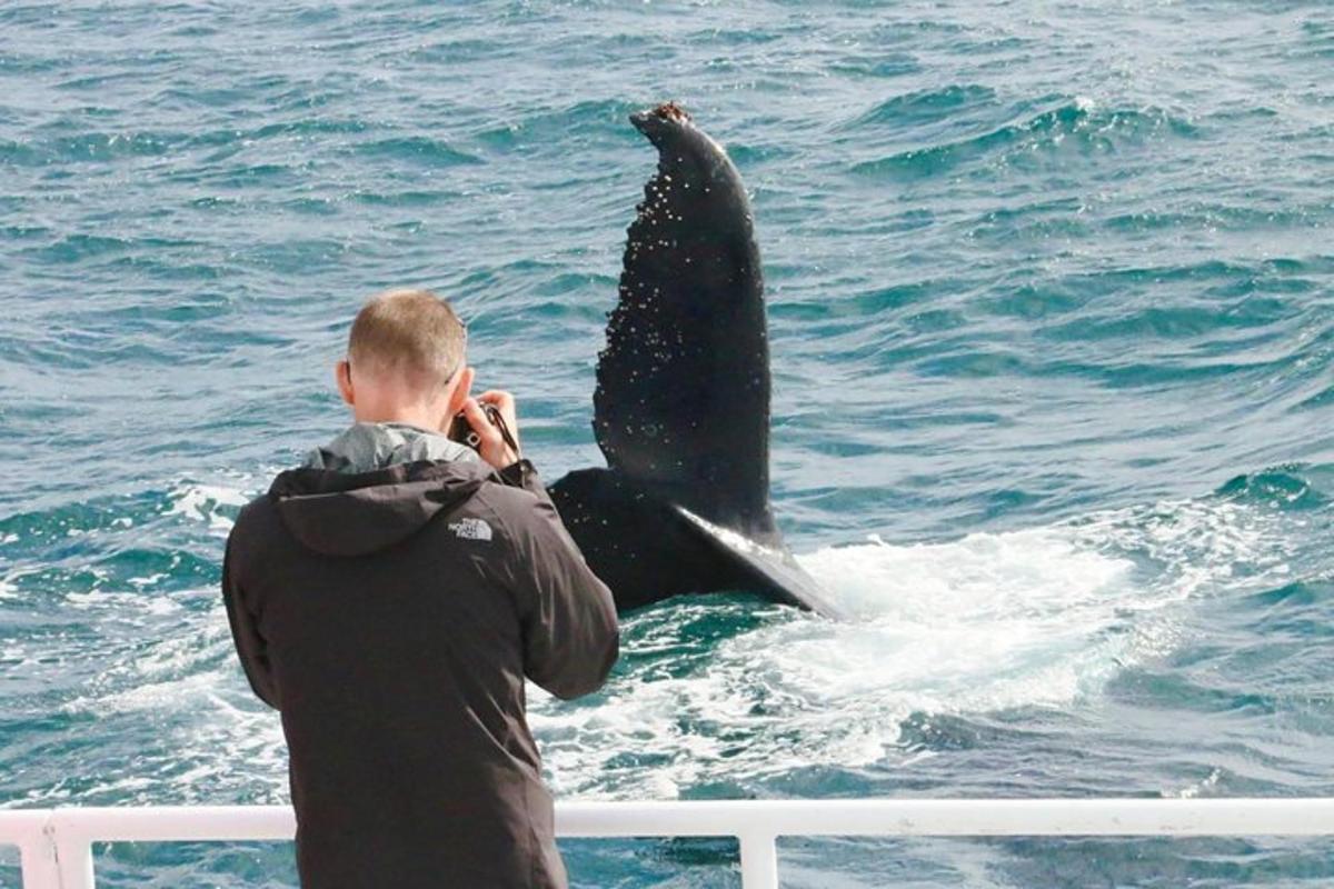 a man talking on a cell phone next to a whale