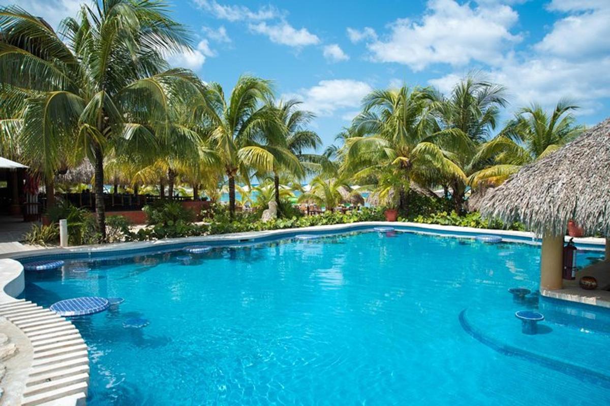 a large blue swimming pool with palm trees