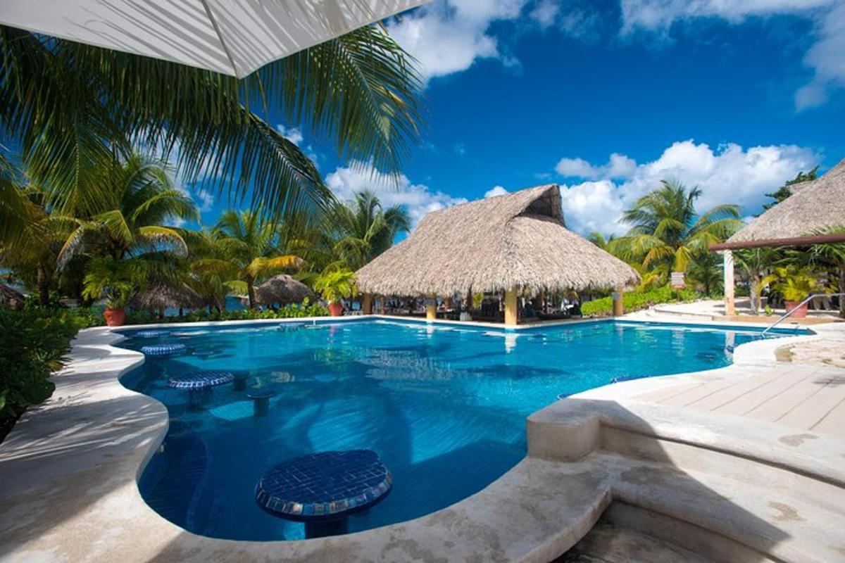a swimming pool with a straw umbrella and palm trees