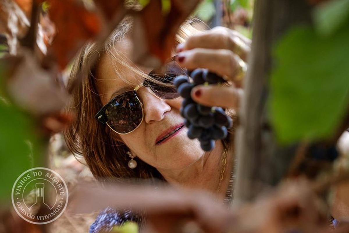 eine Frau mit Sonnenbrille hält eine Pflanze
