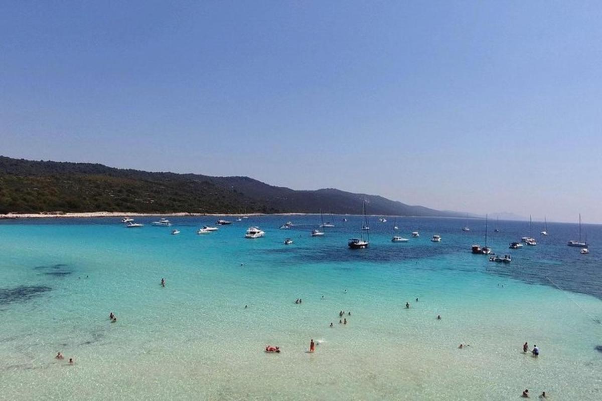 sekumpulan orang di dalam air di pantai