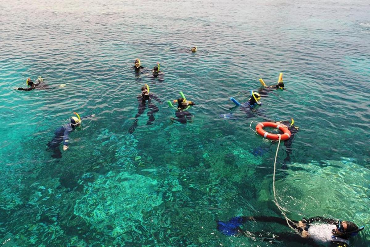 a group of people swimming in the water