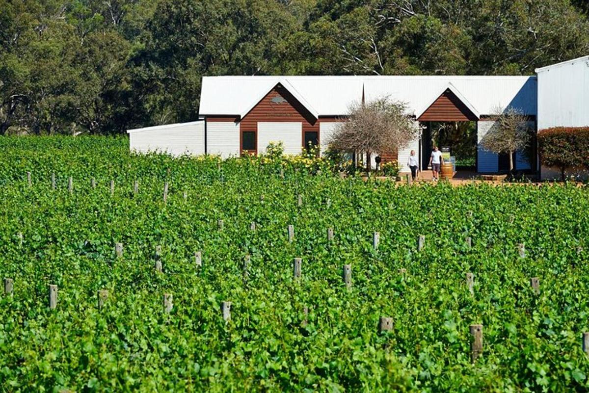a house in the middle of a field of crops