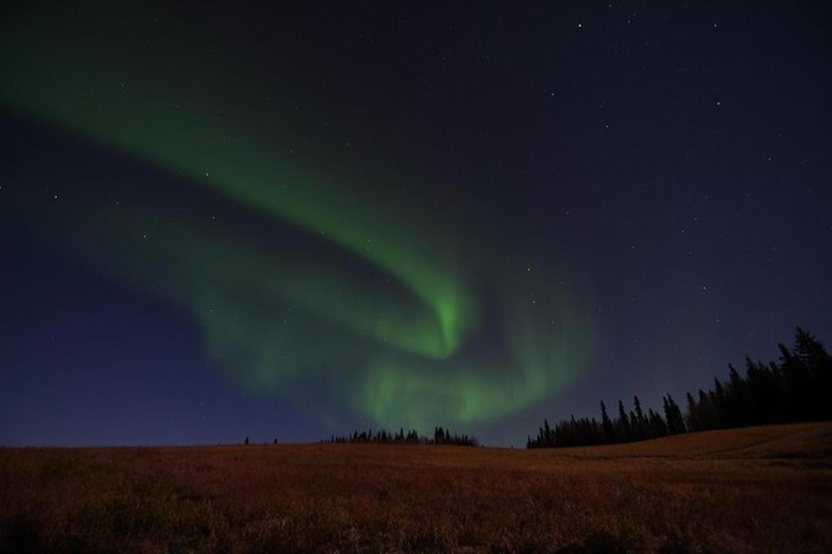 una aurora en el cielo sobre un campo