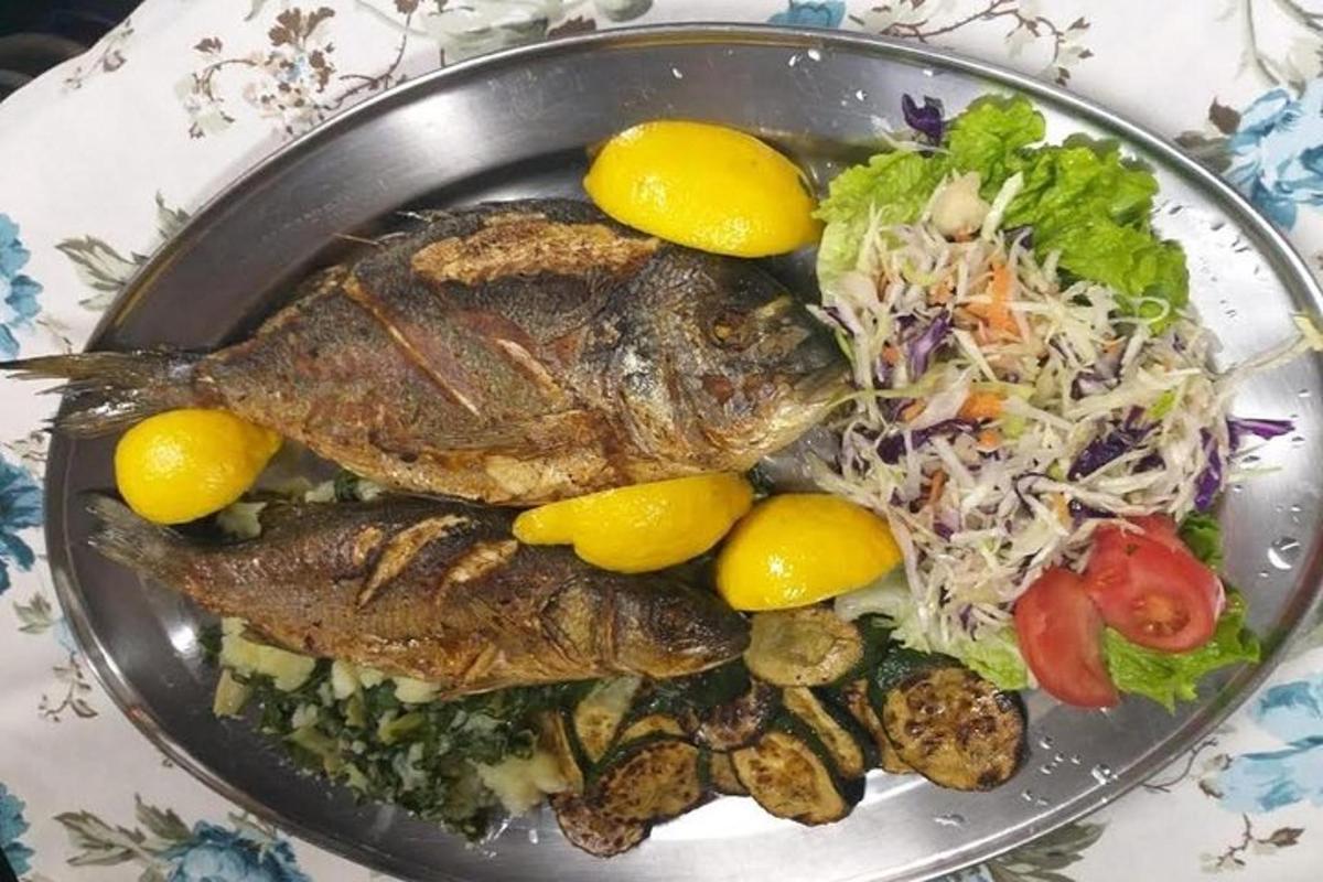 talíř jídla s rybou a salátem