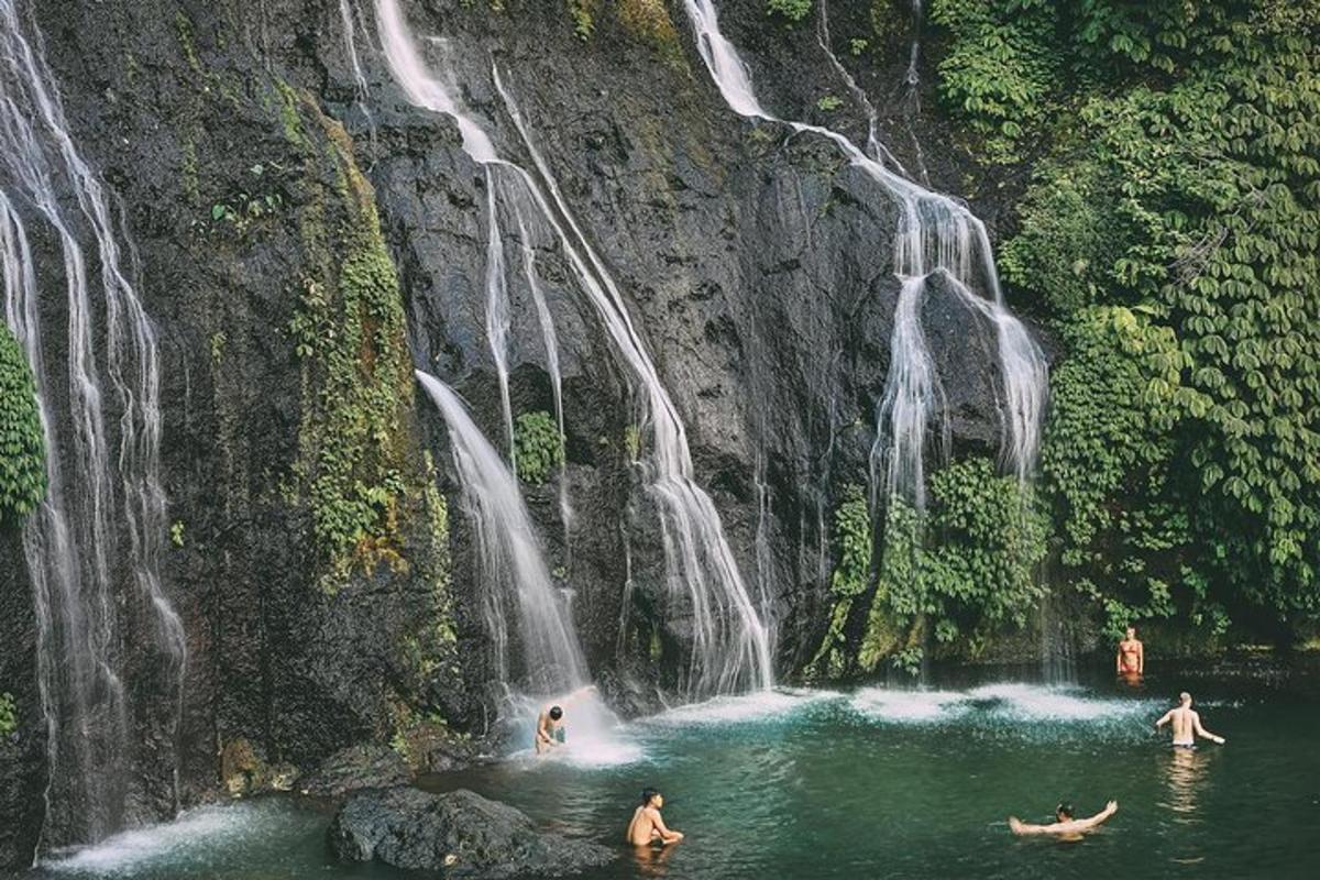 a group of people swimming in a waterfall
