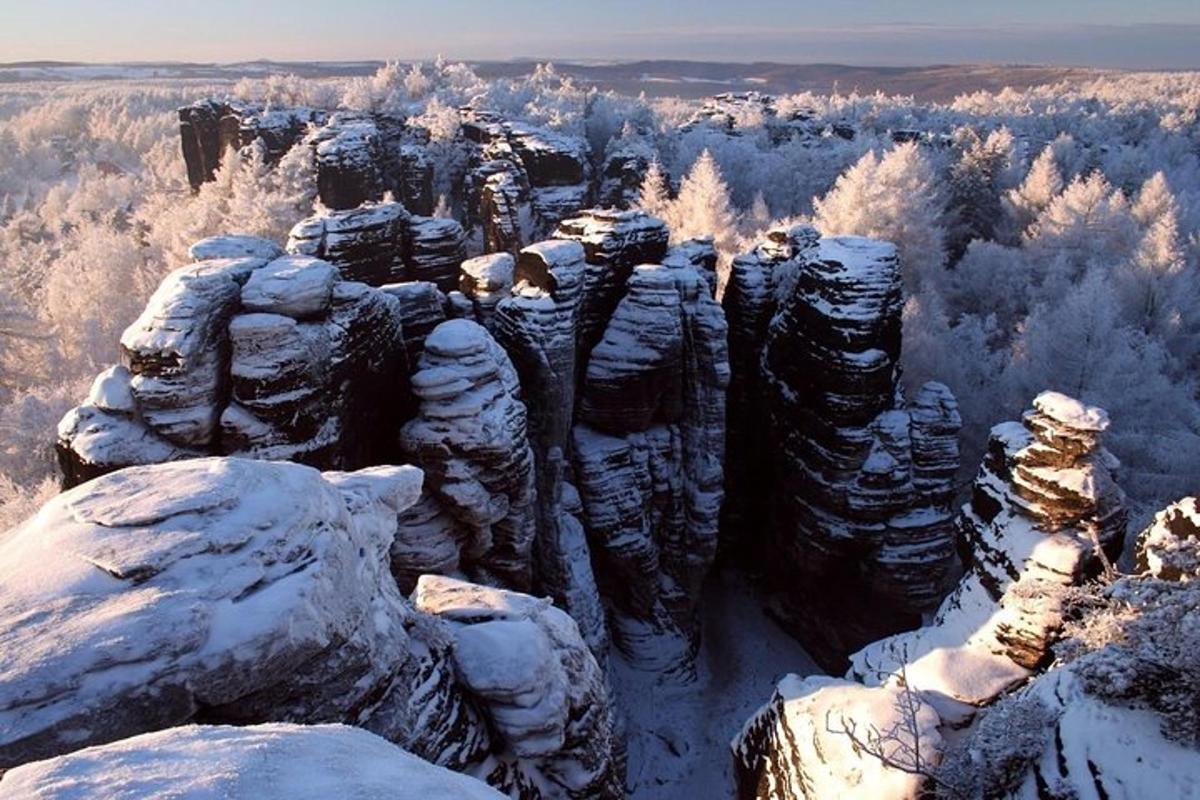 una vista d'un canyó cobert de neu amb arbres
