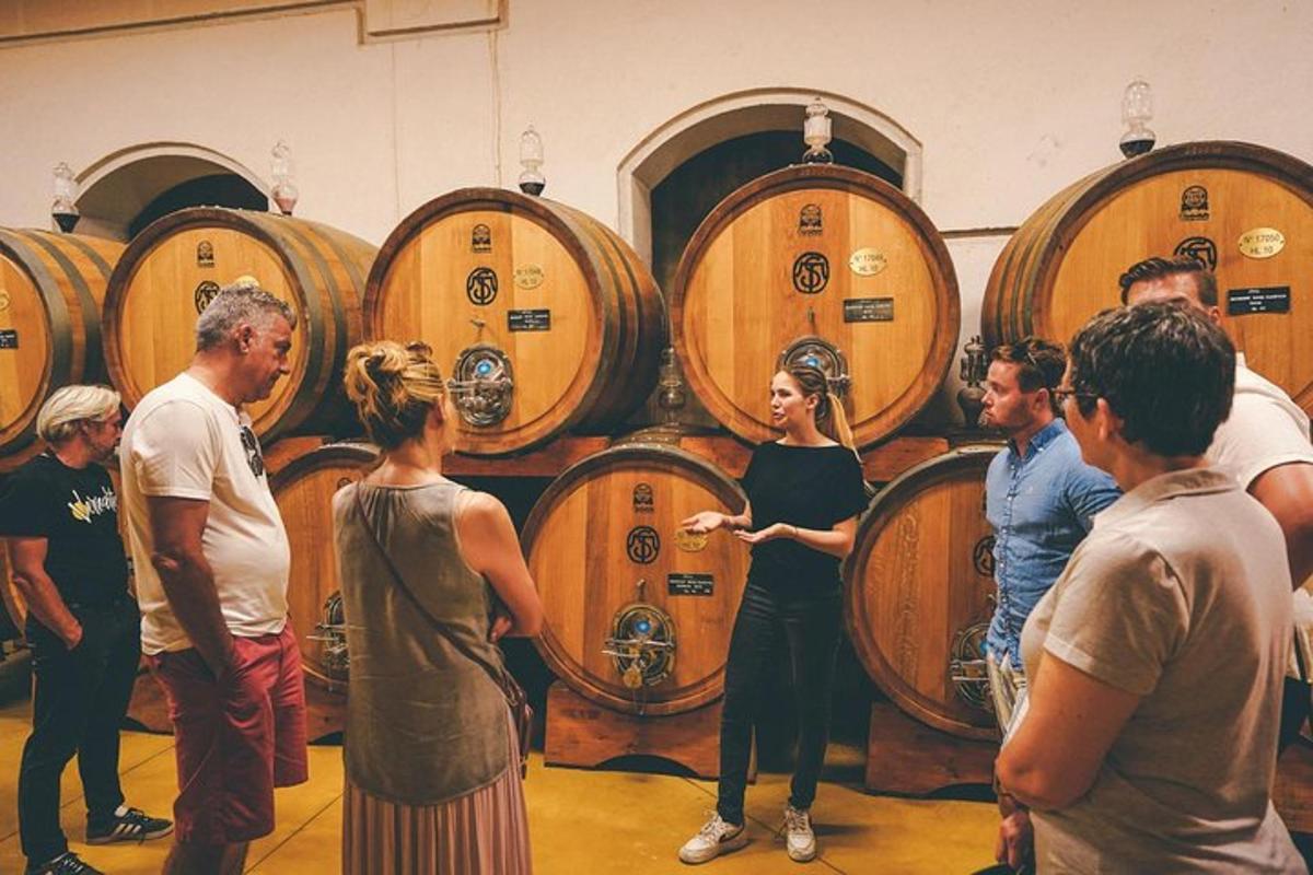 un gruppo di persone in piedi attorno a un mucchio di botti di vino