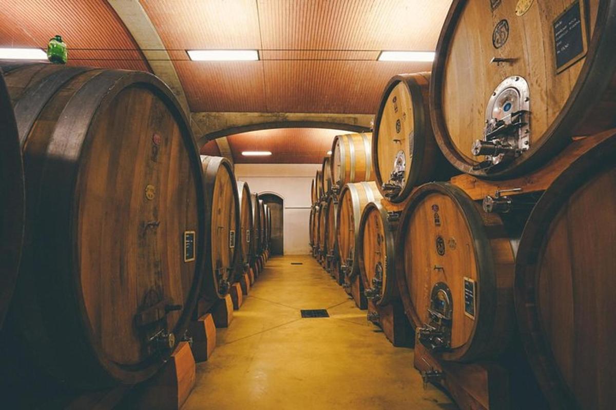 una fila di botti di vino di legno in una cantina