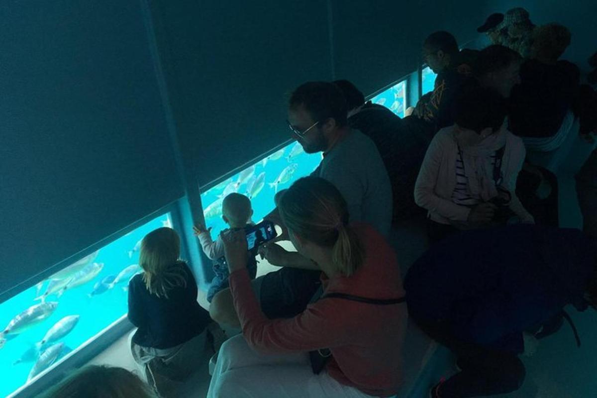 a group of people looking at fish in a aquarium