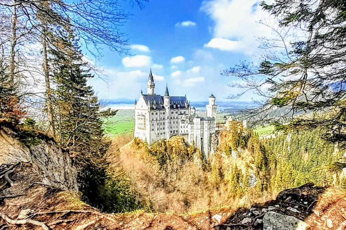 hrad na vrcholu kopce se stromy