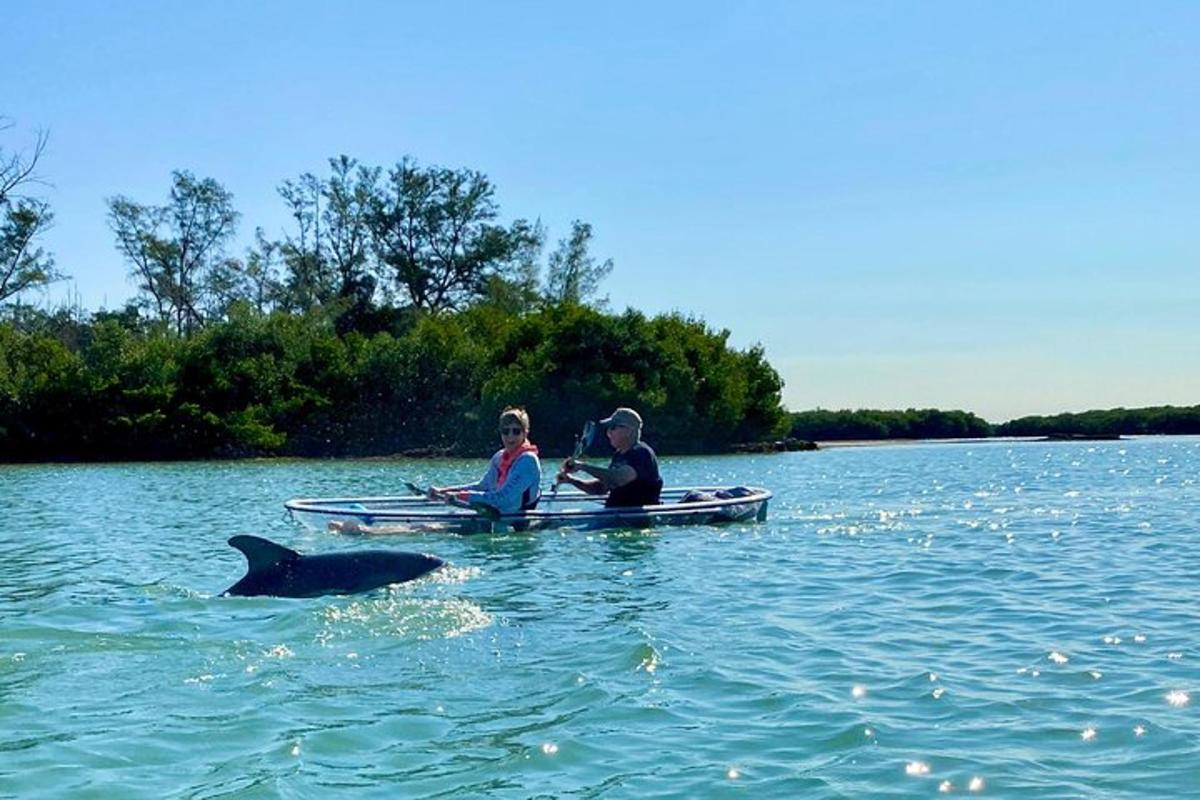 two people on a boat with a dolphin in the water