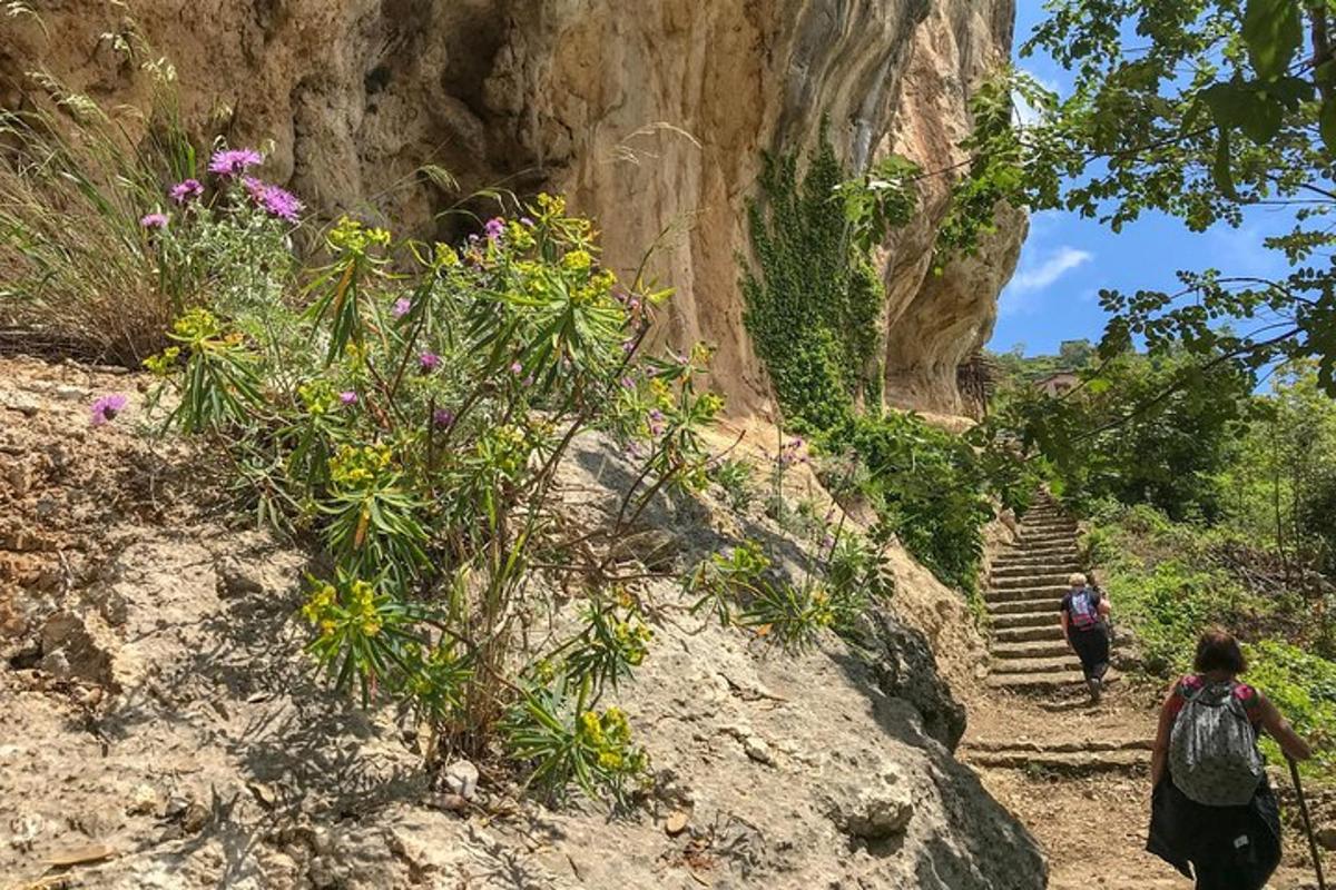 um grupo de pessoas subindo uma montanha com flores