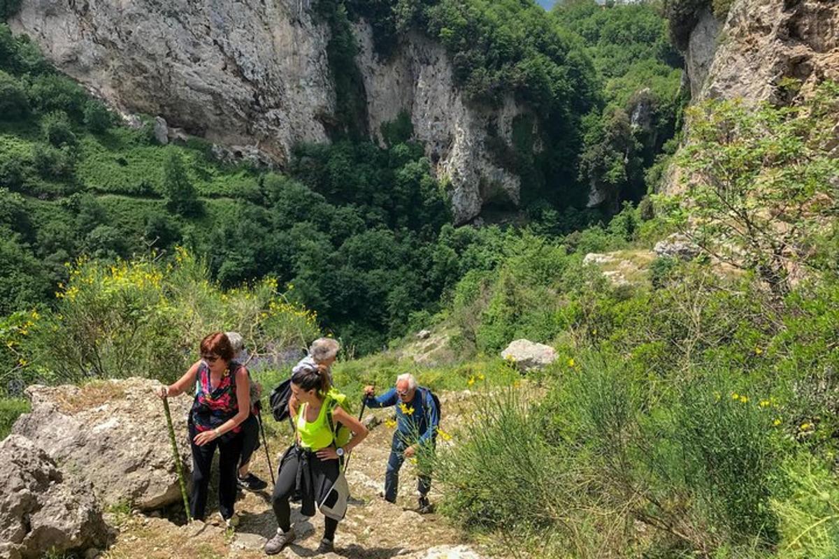 um grupo de pessoas caminhando em uma trilha na montanha