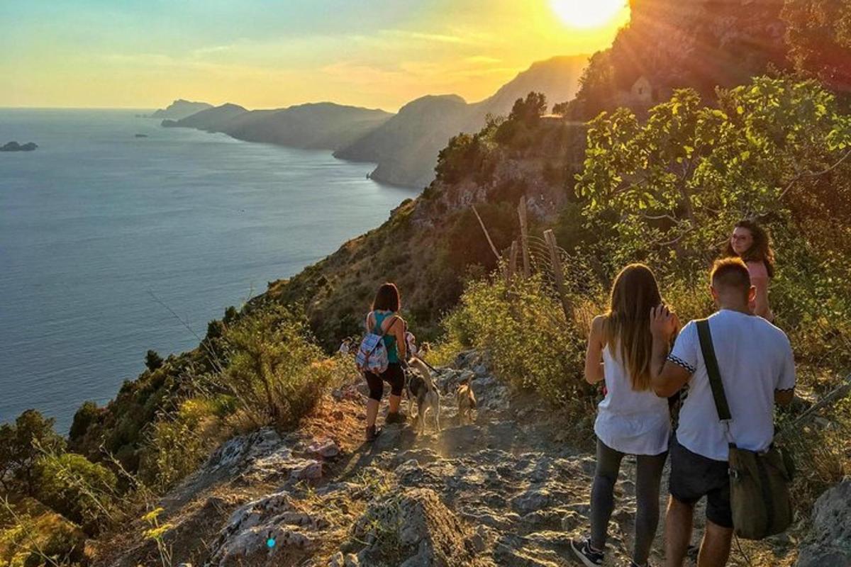 un grup de persones caminant per un penya-segat amb un gos