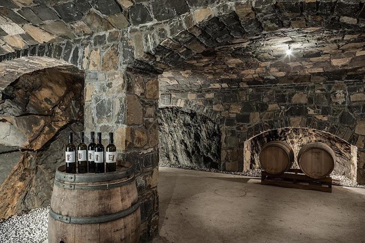 a wine cellar with a bunch of wine bottles
