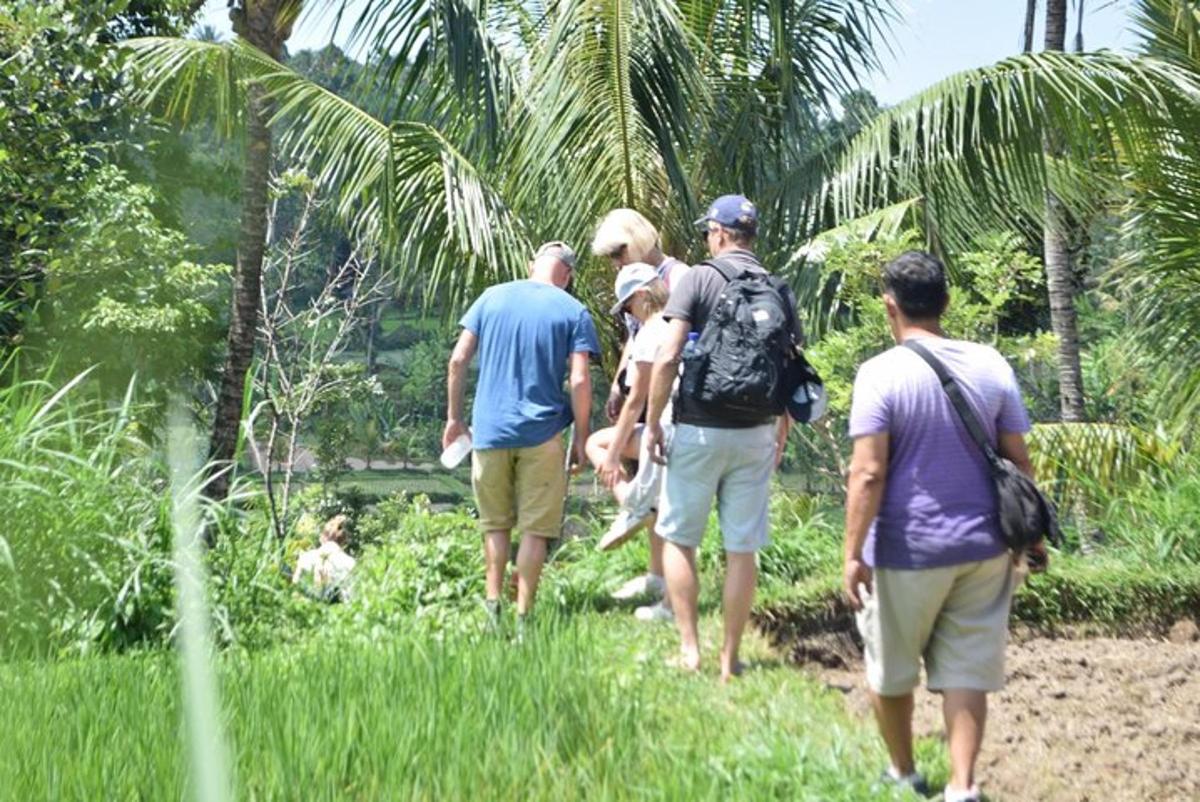 a group of people walking down a dirt trail