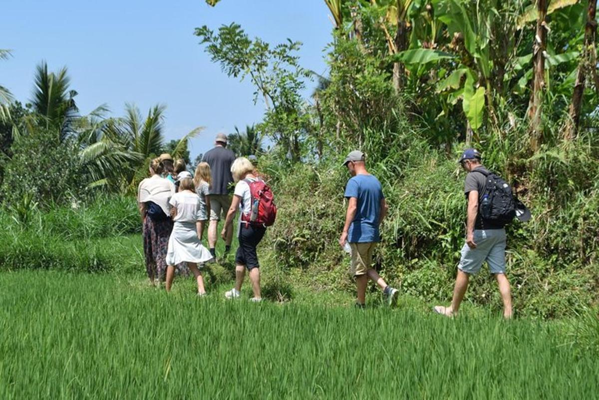 a group of people walking in the grass