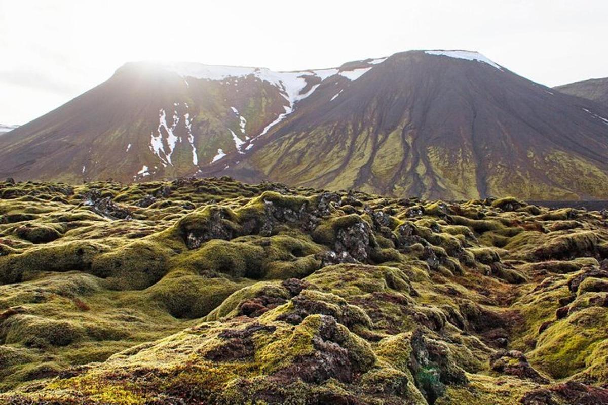 um campo de grama com uma montanha ao fundo