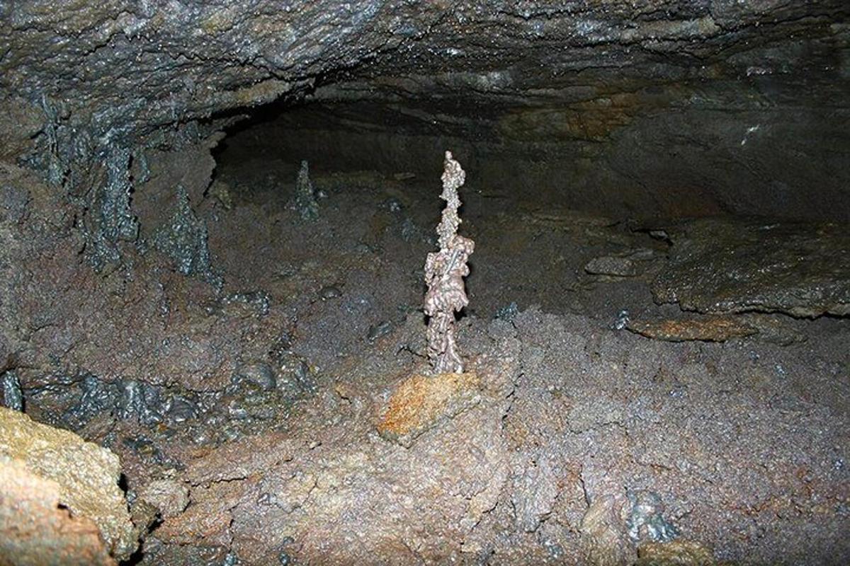 Una cueva de roca con un palo que sobresale de ella