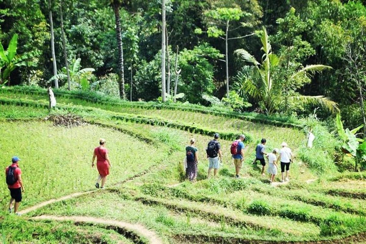 a group of people walking on a field